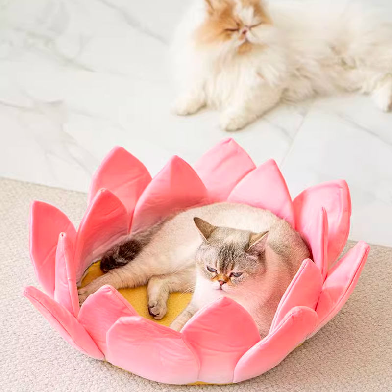 Amitabha! Lotus Bed