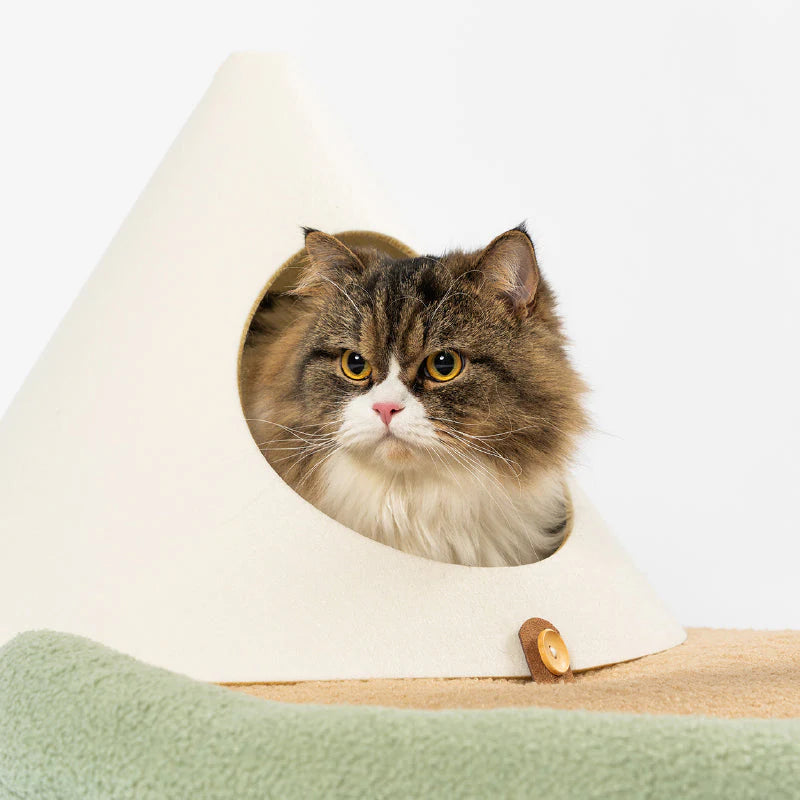 【Pidan】Cat - Palm Tree Nest - Island Paradise Design