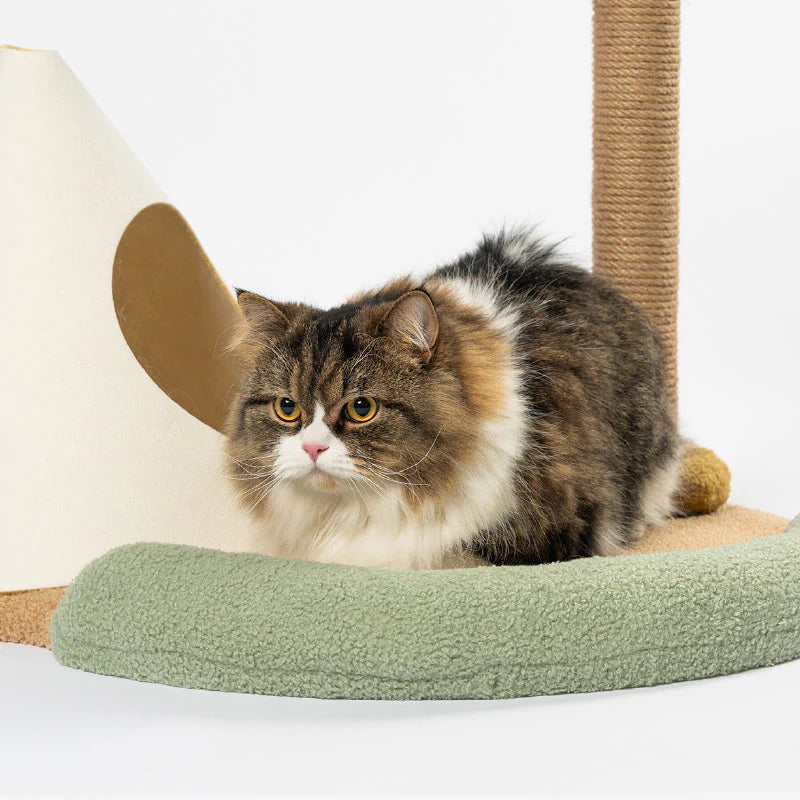 【Pidan】Cat - Palm Tree Nest - Island Paradise Design