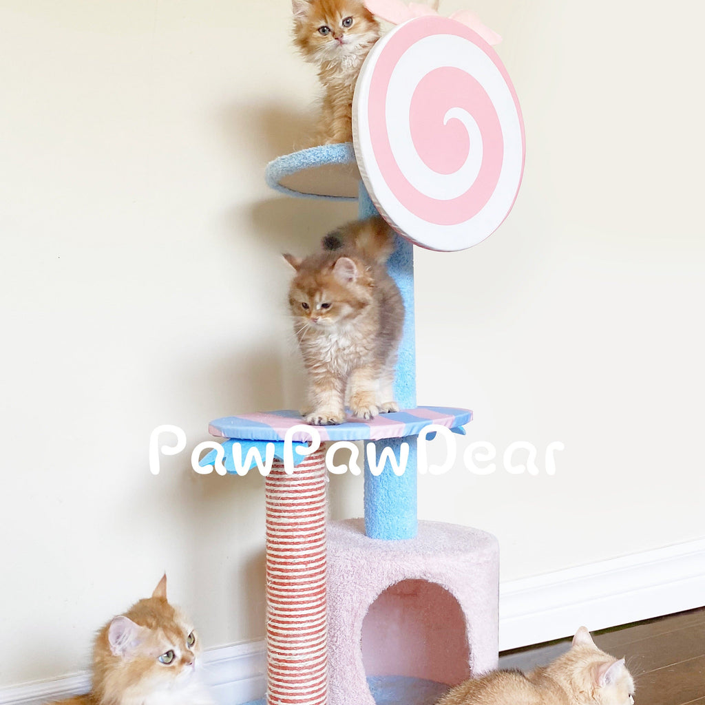 【BBDD】Meow Lollipop Cat Tree - 96 cm