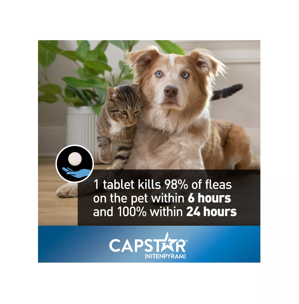 【Capstar】Daily Oral Flea Treatment for Dogs & Cats, 1 to 11 kg, 6 doses