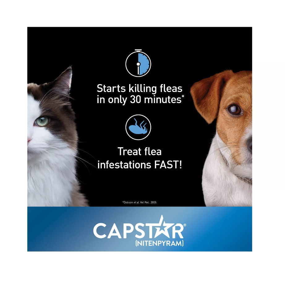 【Capstar】Daily Oral Flea Treatment for Dogs & Cats, 1 to 11 kg, 6 doses