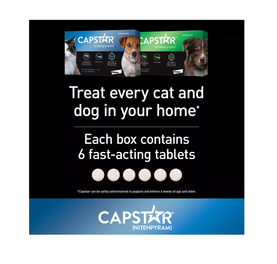 【Capstar】Daily Oral Flea Treatment for Dogs & Cats, 1 to 11 kg, 6 doses