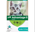 【Elanco Advantage II】Kitten - Once-A-Month Topical Flea Treatment - Under 2.3 kg