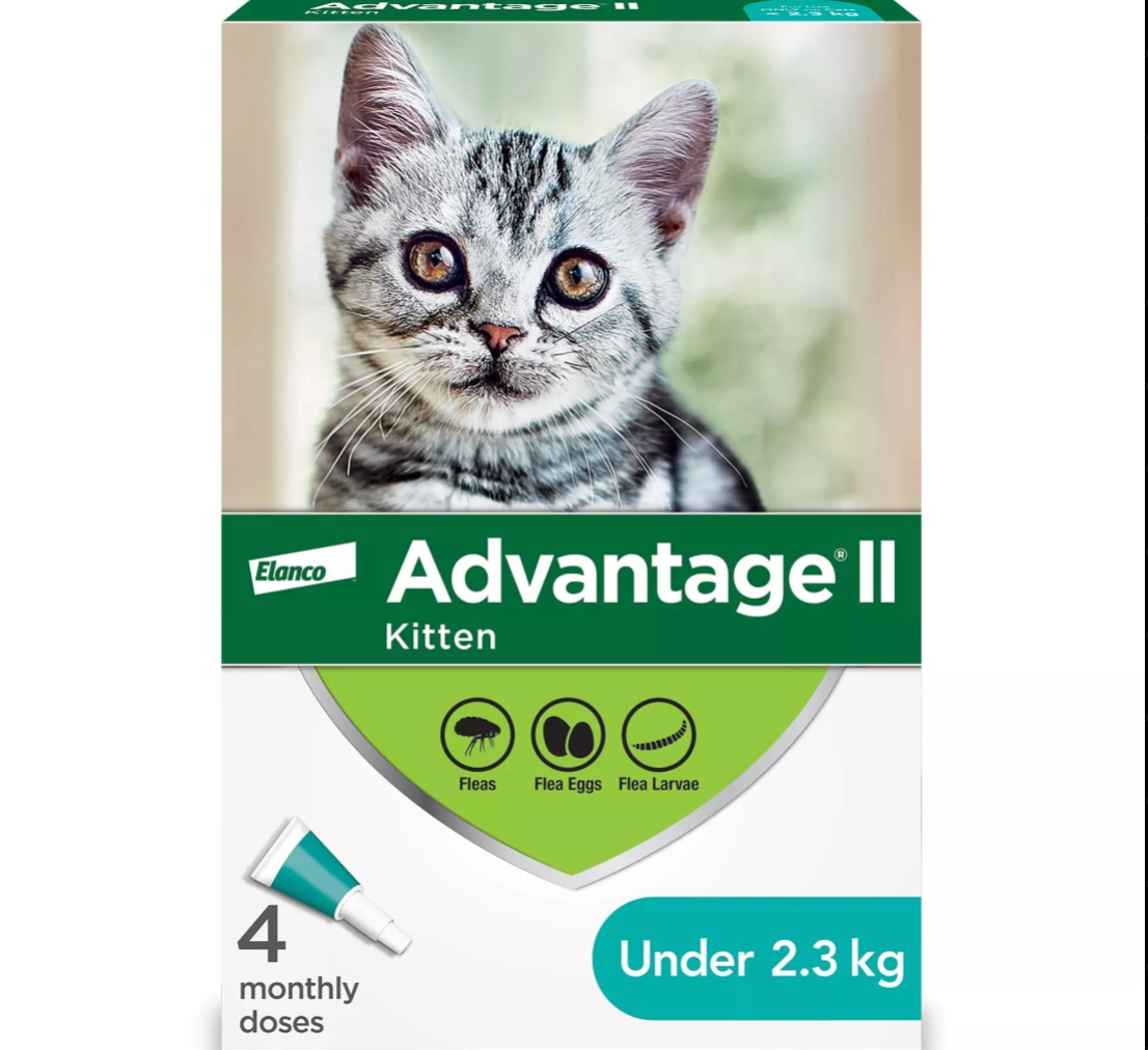 【Elanco Advantage II】Kitten - Once-A-Month Topical Flea Treatment - Under 2.3 kg