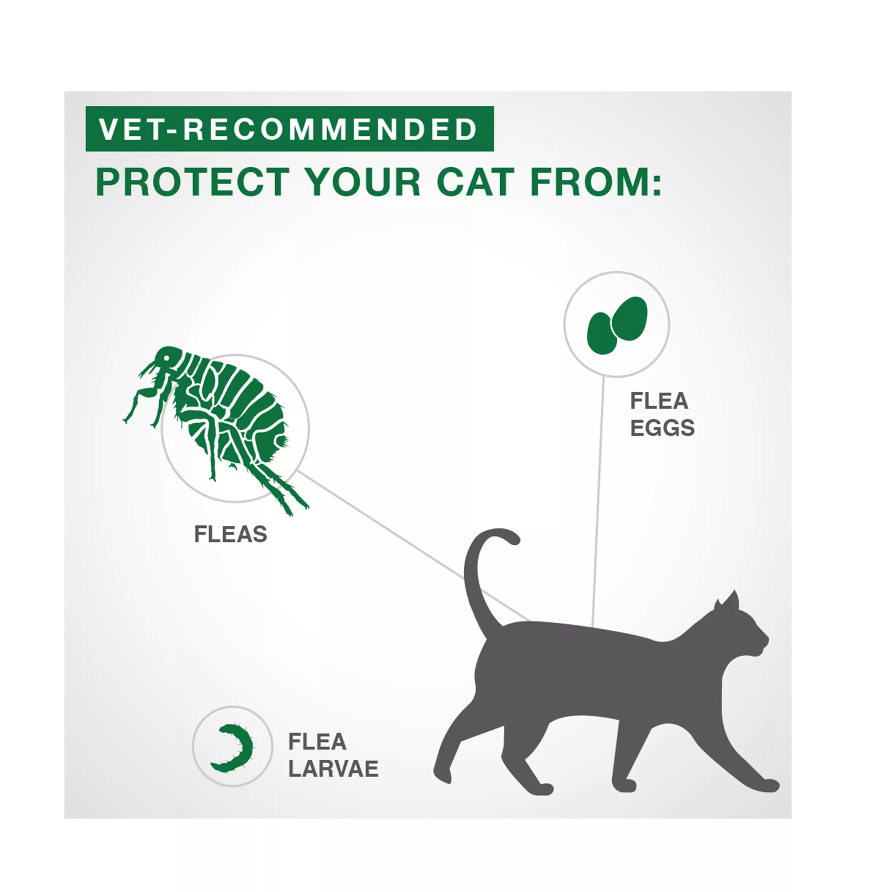 【Elanco Advantage II】Kitten - Once-A-Month Topical Flea Treatment - Under 2.3 kg