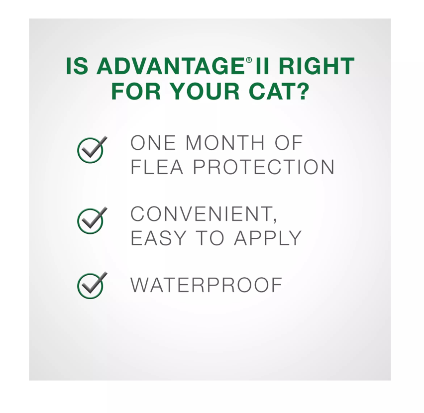 【Elanco Advantage II】Kitten - Once-A-Month Topical Flea Treatment - Under 2.3 kg