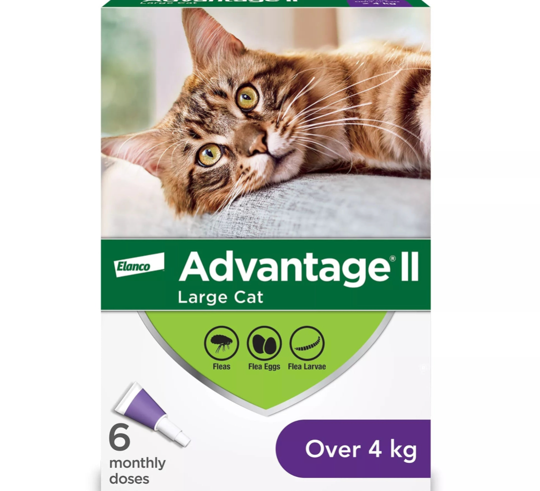 【Elanco Advantage II】Large Cat Once-A-Month Topical Flea Treatment - Over 4 kg