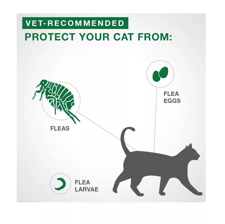 【Elanco Advantage II】Large Cat Once-A-Month Topical Flea Treatment - Over 4 kg