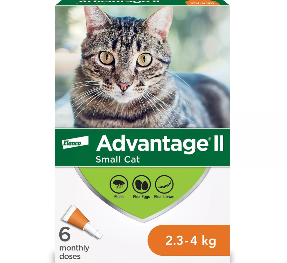 【Elanco Advantage II】Small Cat Once-A-Month Topical Flea Treatment - 2.3 to 4 kg