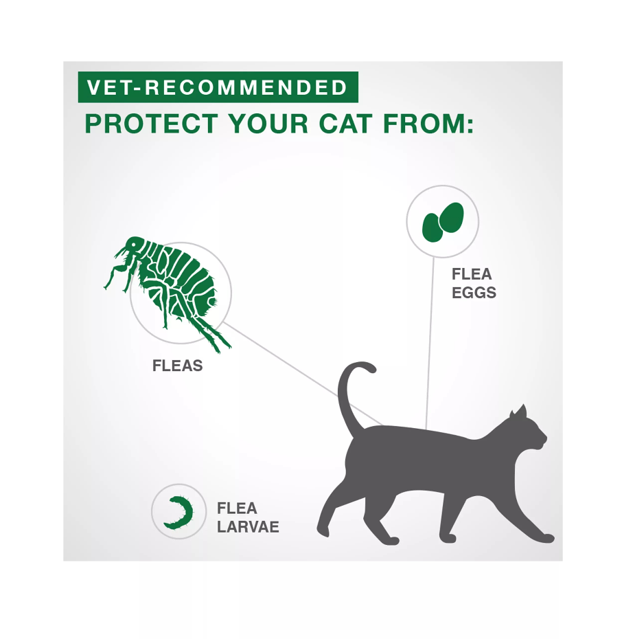 【Elanco Advantage II】Small Cat Once-A-Month Topical Flea Treatment - 2.3 to 4 kg