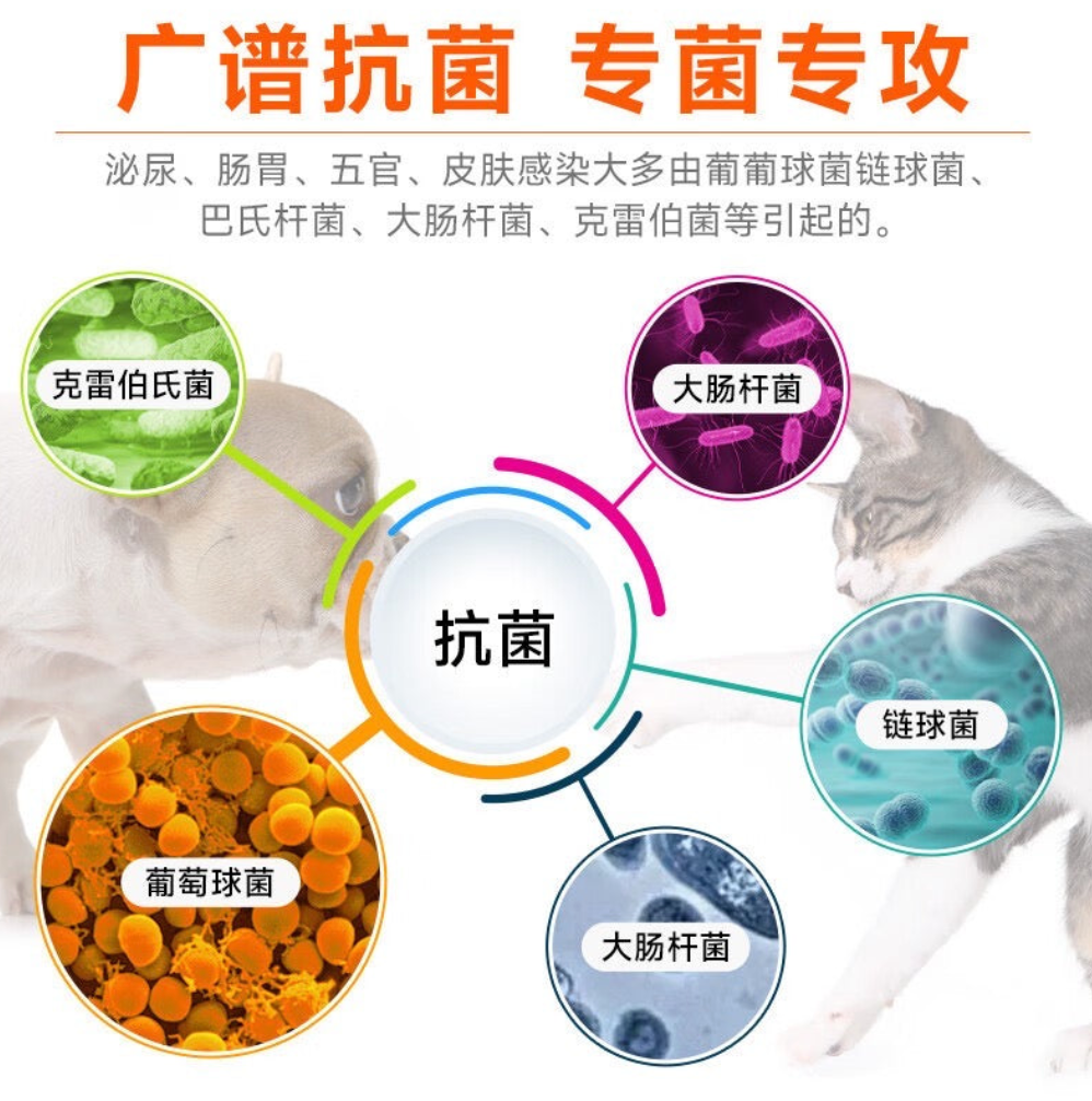 【修正】头孢羟氨苄片
