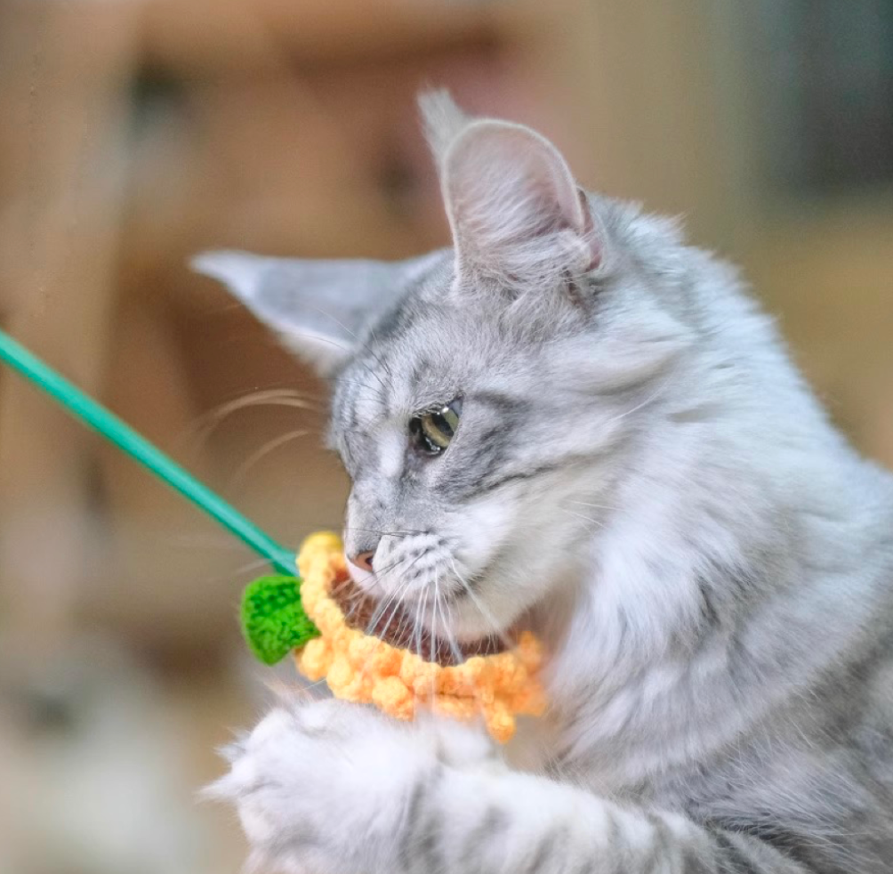 【MEOWCARD】Catnip Sunflower Cat Teaser