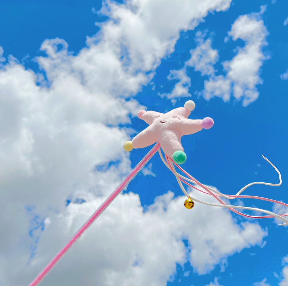【PAWWAII】Star & Flower Cat Teasers
