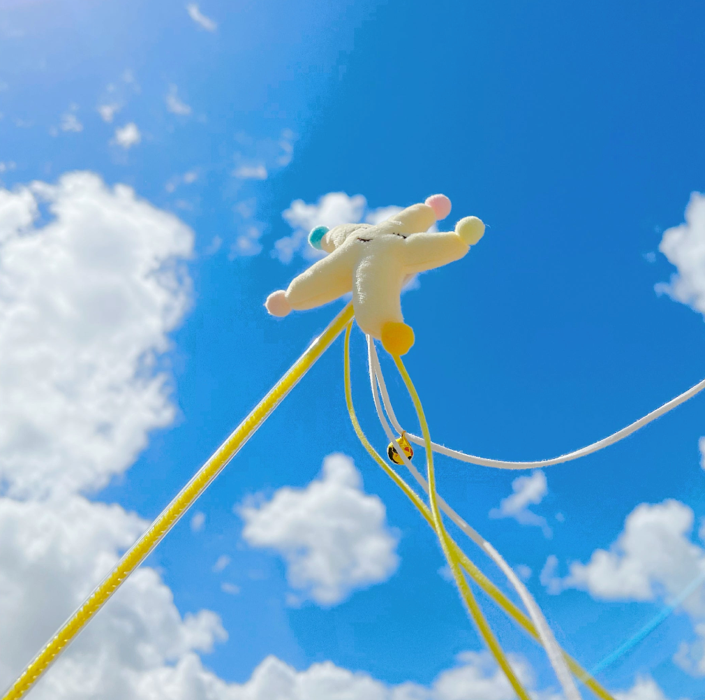 【PAWWAII】Star & Flower Cat Teasers
