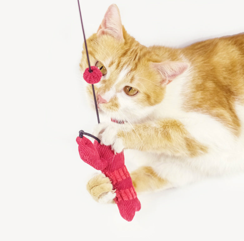【MEOWCARD】Lobster Cat Teaser with Bell