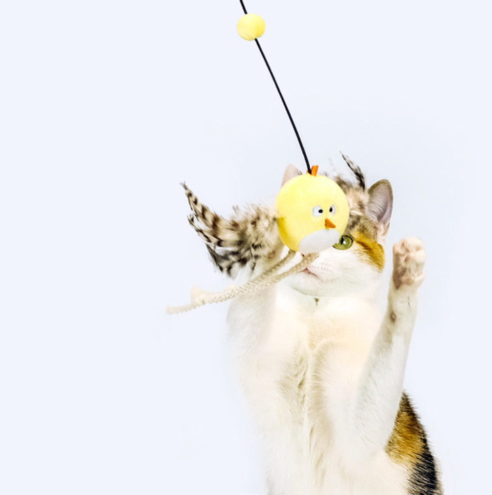 【MEOWCARD】Cat Teaser - Hugo& Jimmy