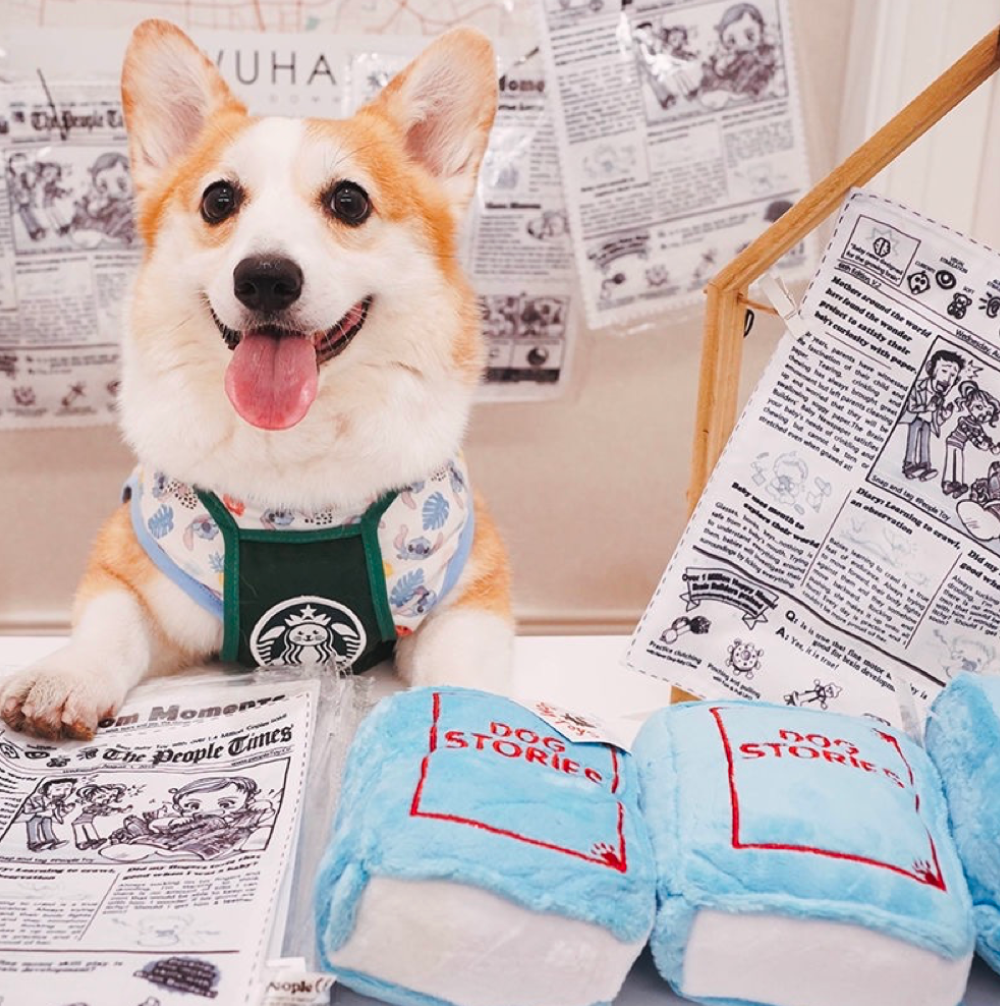 【Meow Club】Newspaper Crinkle Toy