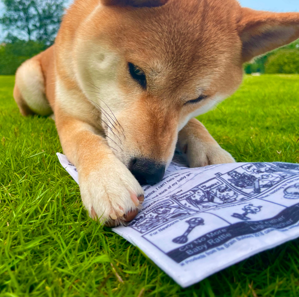 【Meow Club】Newspaper Crinkle Toy
