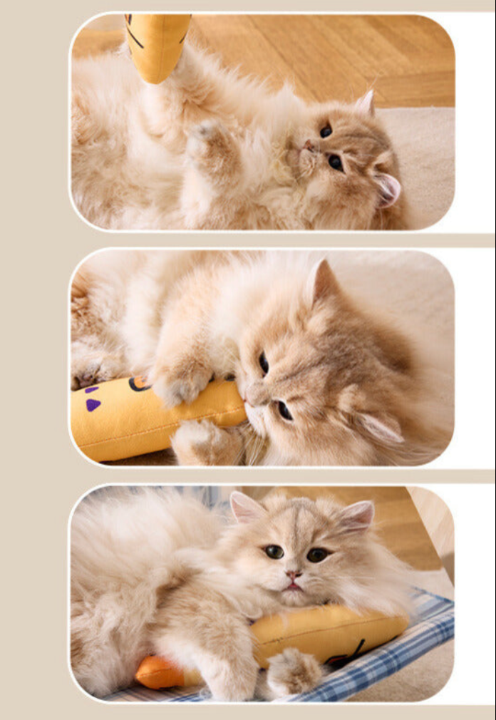 【Purrfect Play】Catnip Fish Toy for Endless Fun