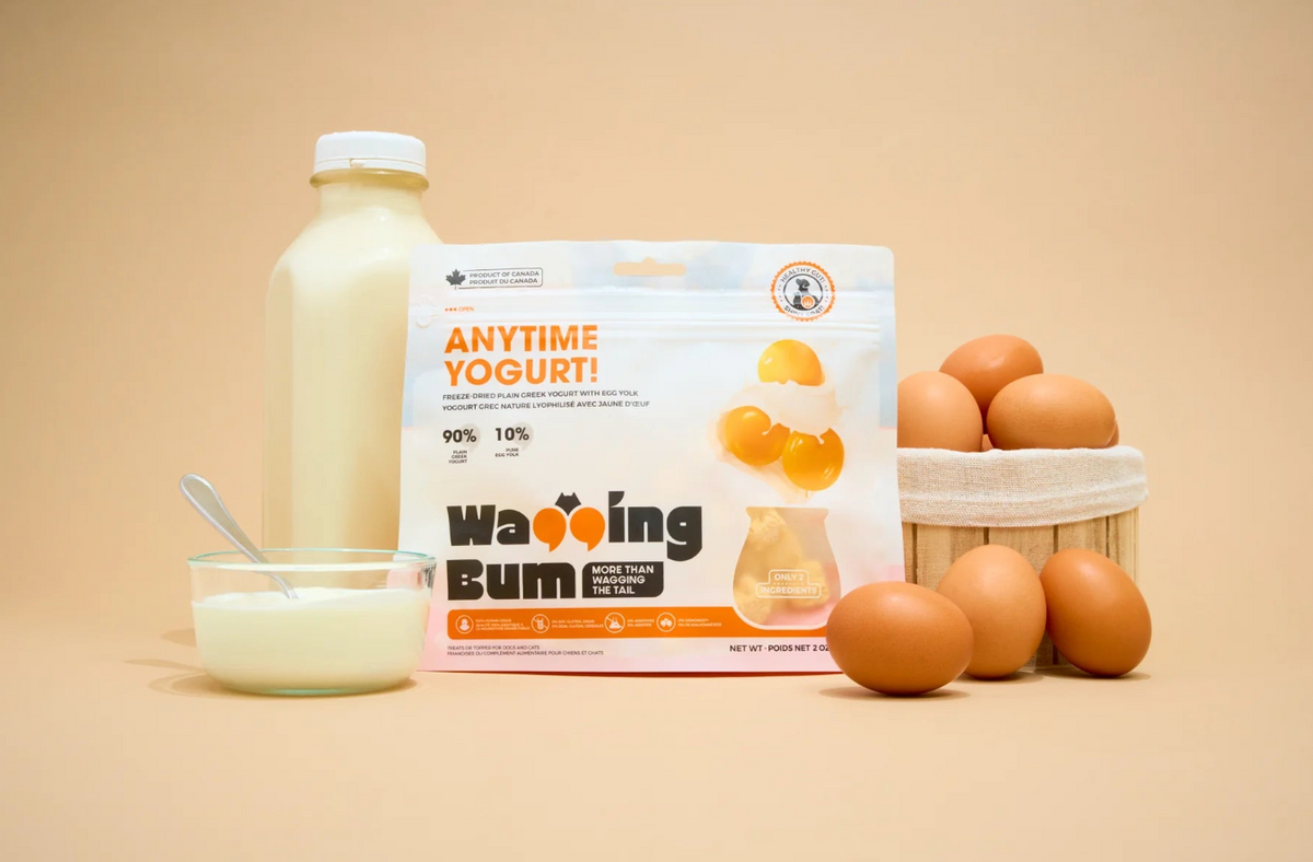 【Wagging Bum】ANYTIME YOGURT! Freeze-dried Greek Yogurt with Egg Yolk - 2oz / 56g