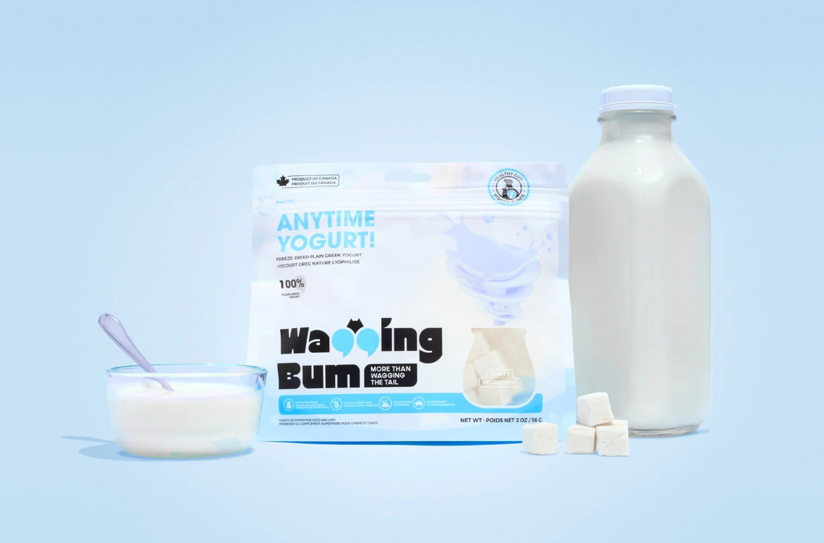 【Wagging Bum】ANYTIME YOGURT! Freeze-dried Plain Greek Yogurt - 2oz / 56g