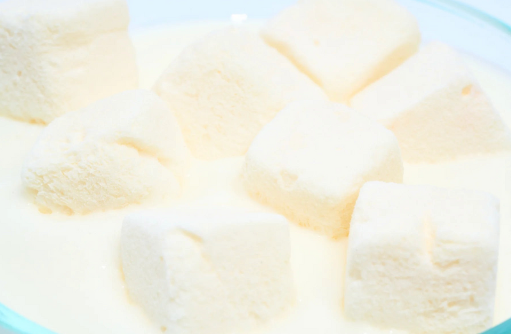 【Wagging Bum】ANYTIME YOGURT! Freeze-dried Plain Greek Yogurt - 2oz / 56g