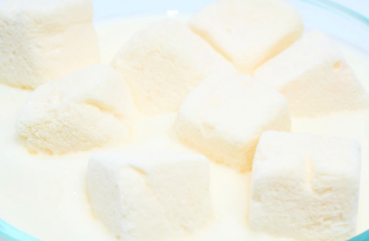 【Wagging Bum】ANYTIME YOGURT! Freeze-dried Plain Greek Yogurt - 2oz / 56g