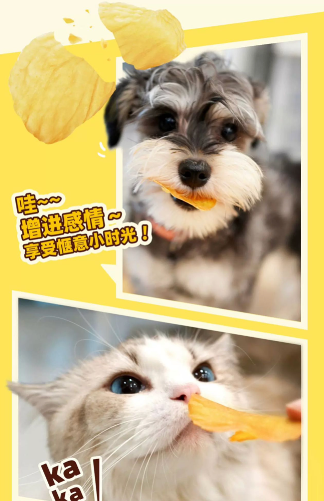 【HELL'S KITCHEN】Chicken Crispy Chips 40g