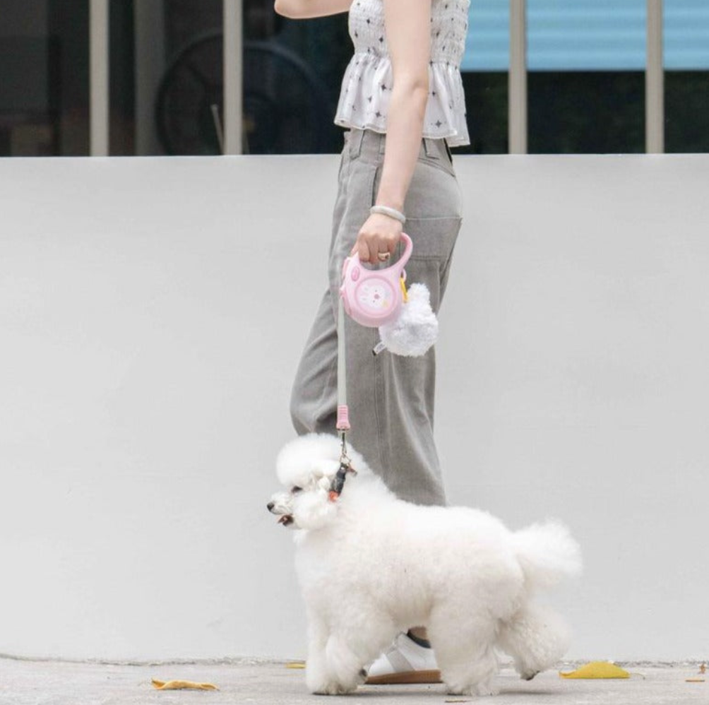 Rabbit Style Leash Automatic Extending Traction Rope Retractable Nylon