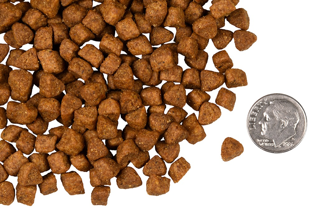 【Fromm】Four-Star Grain Free Dry Cat Food - Hasen Duckenpfeffer 10 lbs