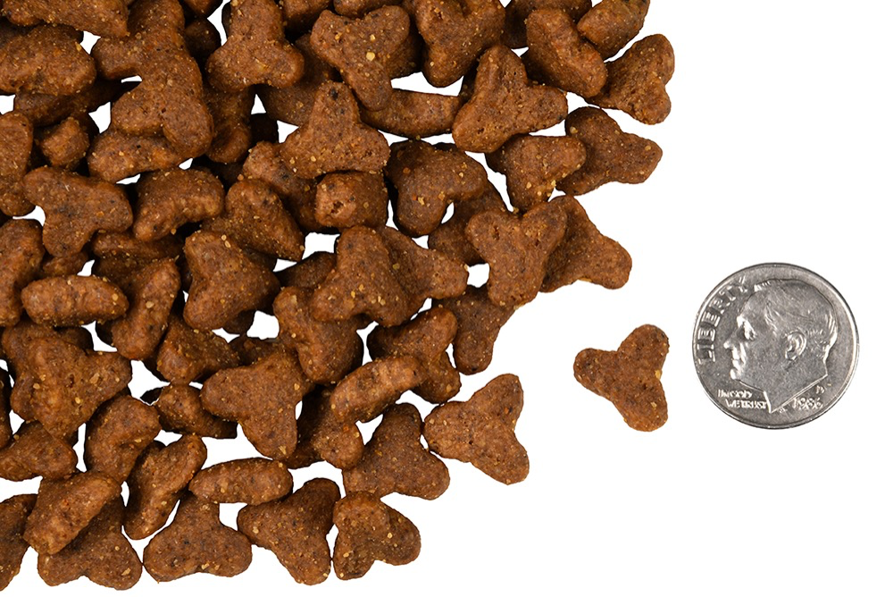 【Fromm】Four-Star Grain Free Dry Cat Food - Game Bird 10 lbs